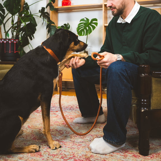 Punottu hihna, ruskea