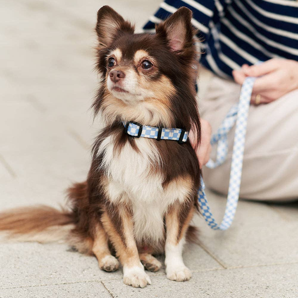 CAFIDE Juno-kierrätetty PET kaulapanta, Blue Vichy