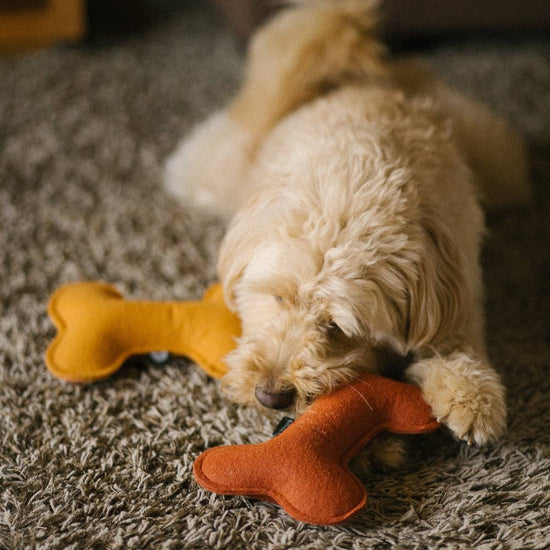 CAFIDE Play koiran leluluu, terracotta