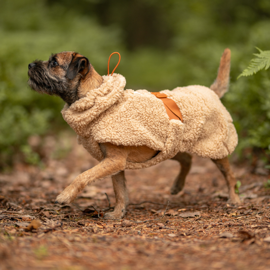 Sherpa coat, taupe