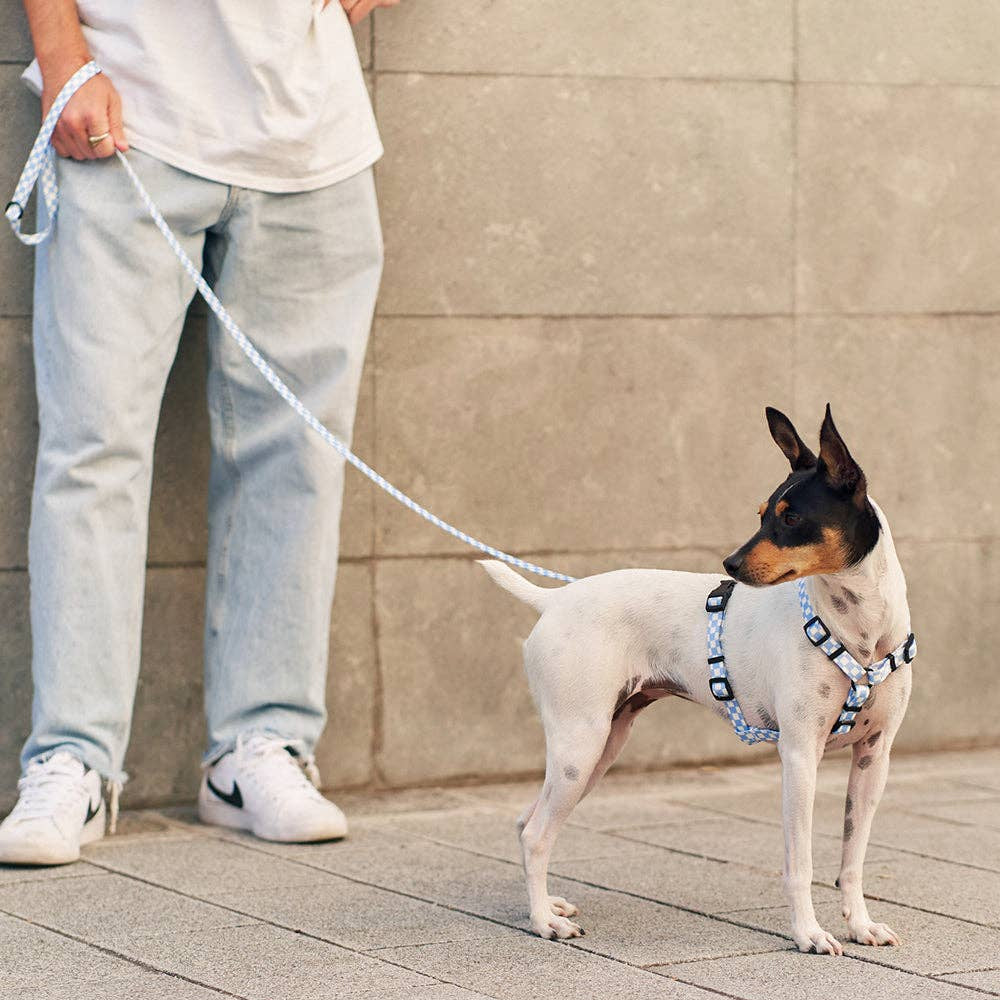 Juno -kierrätetty PET talutin, Vichy Blue