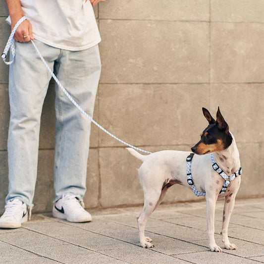 Juno -kierrätetty PET talutin, Vichy Blue