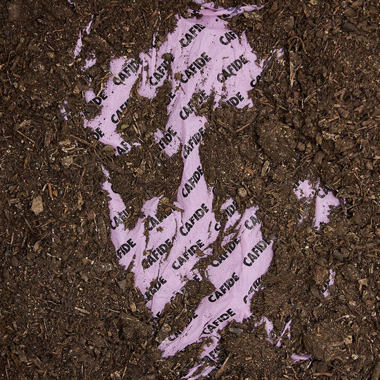 Lea-koirankakkapussit, laventeli