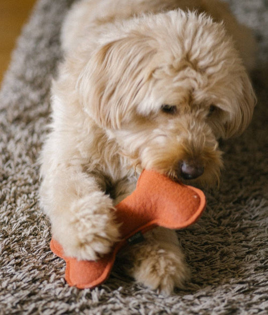 CAFIDE Play koiran leluluu, terracotta