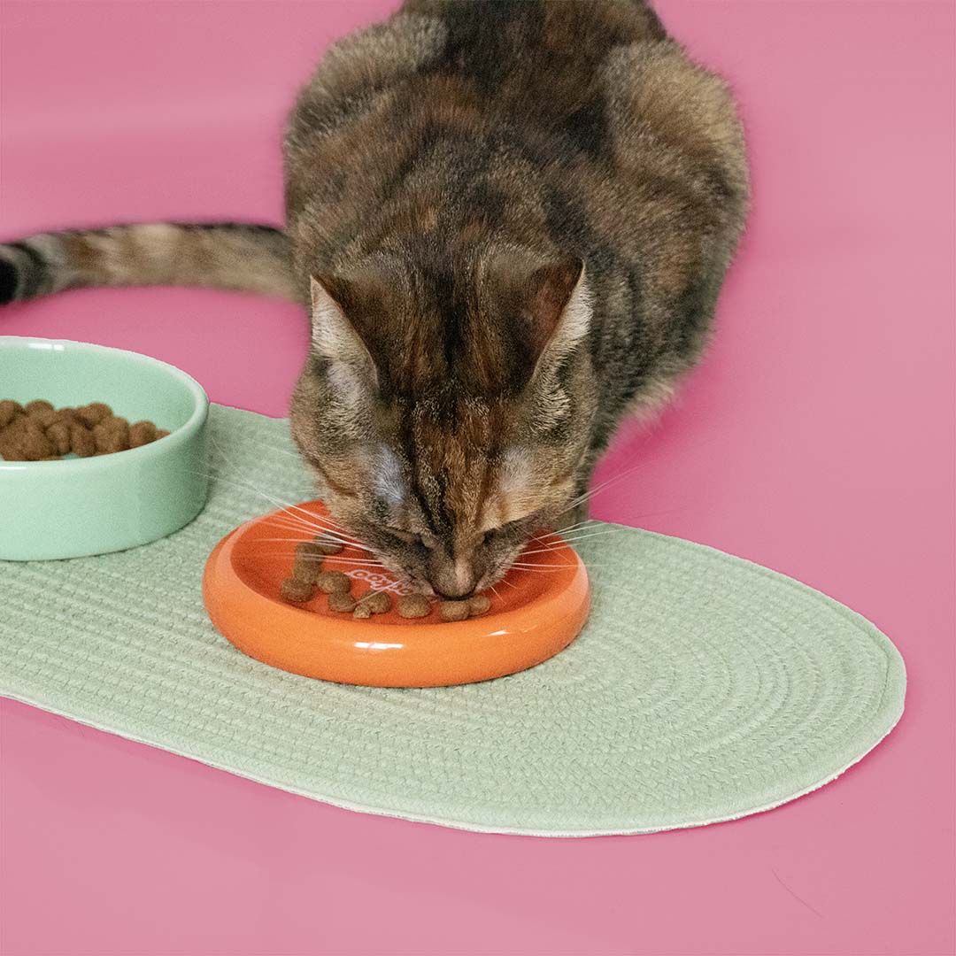 Funky Feeding -ruoka- ja juomakuppi, oranssi ja vihreä