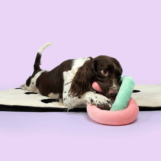 Snuggle Snake -koiranlelu