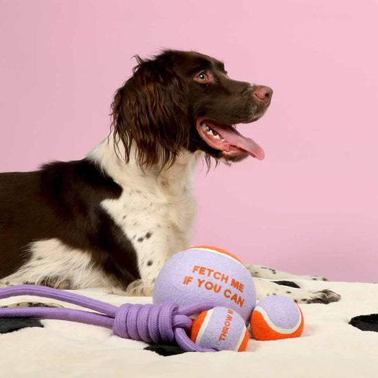 Fetch Me -tennispallo XL