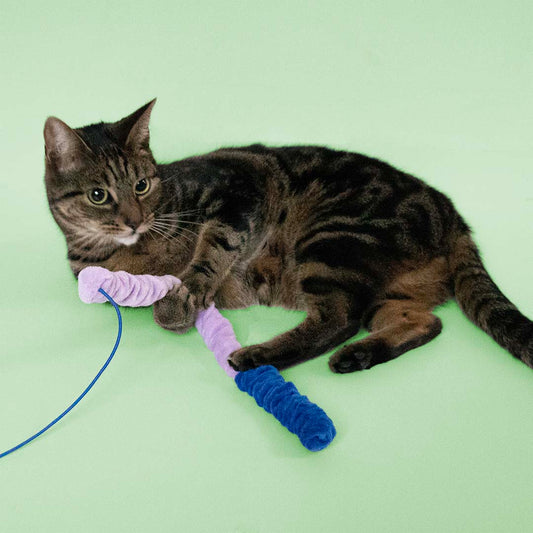 Mighty Mac -kissanlelu