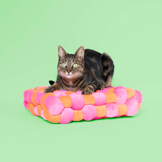 Makoilualusta, oranssi-pinkki