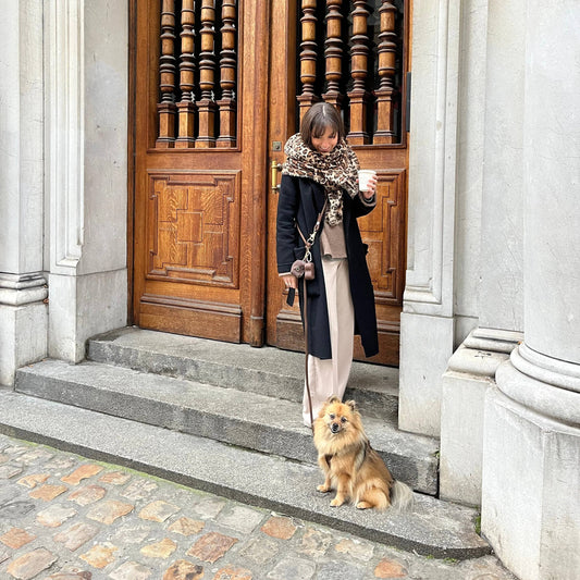 Hands-free leash, clay