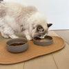 Ceramic feeding plate