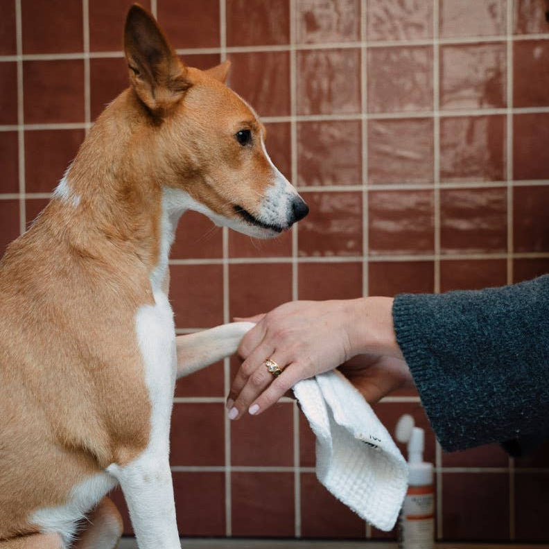 Täytettävä tassupuhdistusainepullo