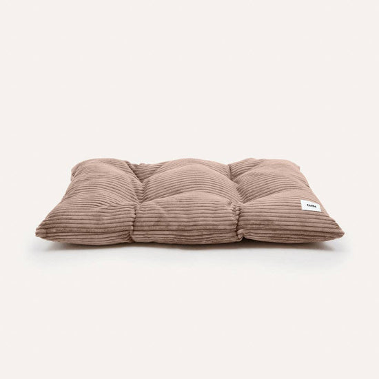 CAFIDE Bela Corduroy beige koiranpeti