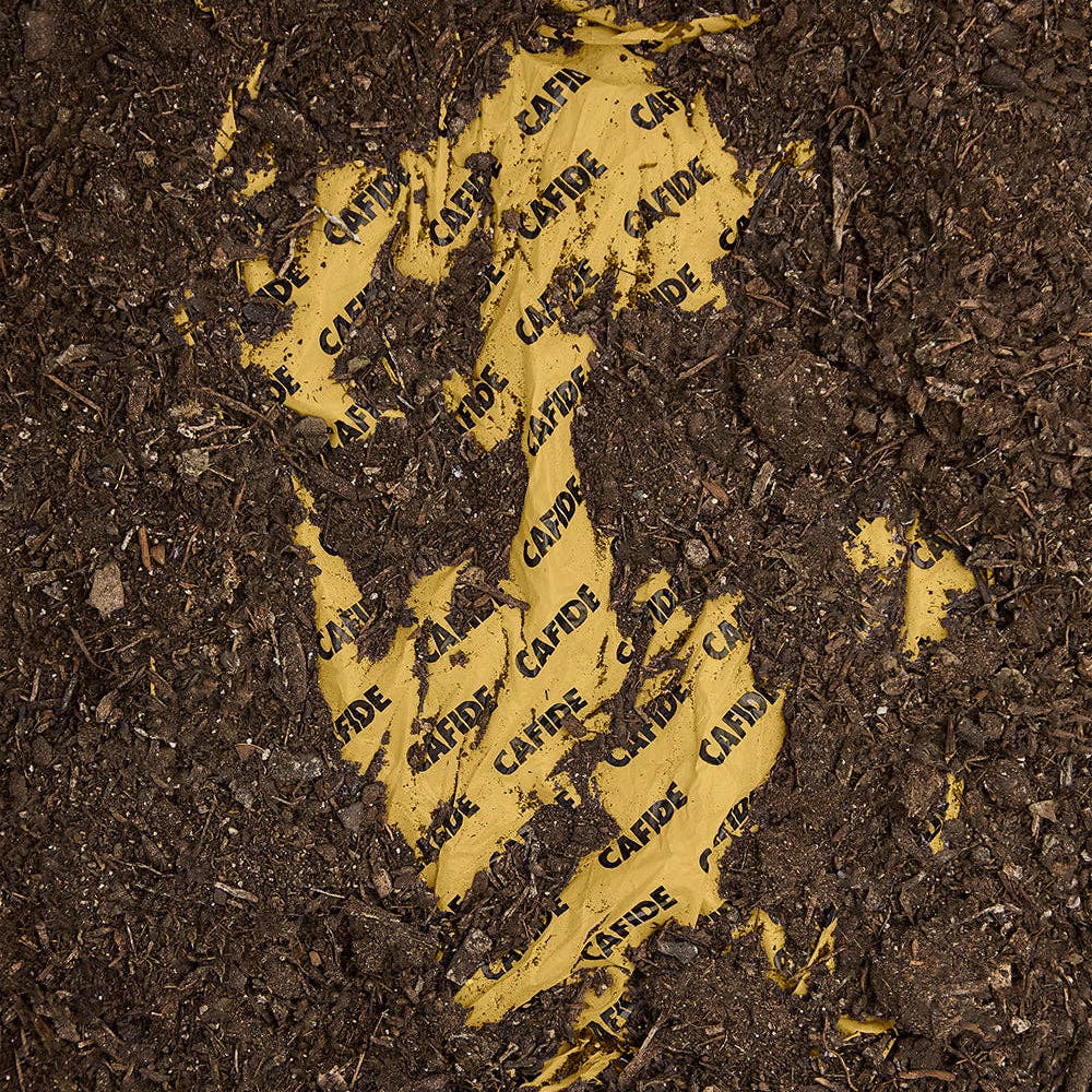 Lea-koirankakkapussit, vanilja