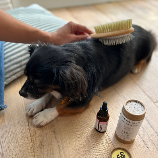 Kaksipuolinen harja pitkälle ja keskipitkälle karvalle