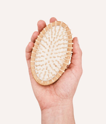 CAFIDE Teo hierova harja koiralle