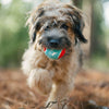Dog tennis ball set