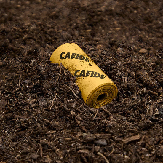 Lea-koirankakkapussit, vanilja