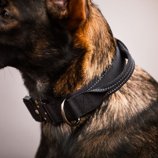 Rukka Pets Mission Collar – tukeva kahvapanta isolle koiralle