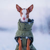 Rukka Pets Warmup 2.0 Coat – Oliivinvihreä talvitakki koiralle 