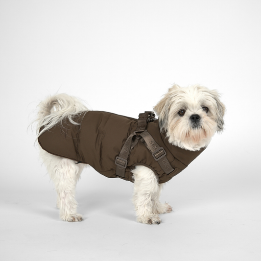 Vera dog winter coat with harness, chestnut