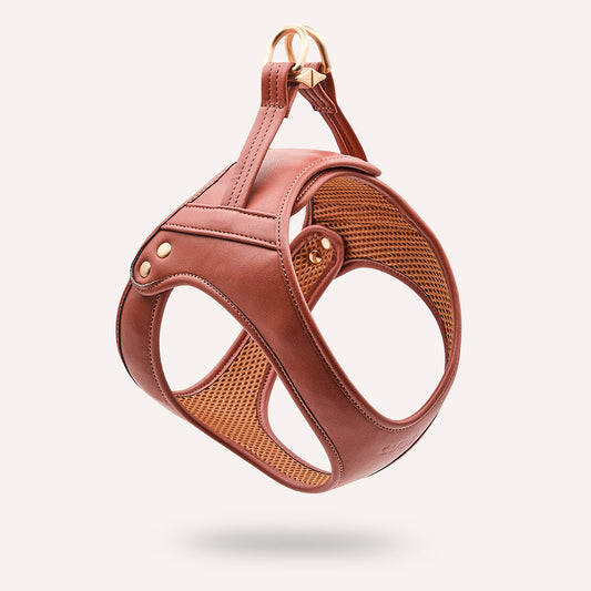 CAFIDE Jala-valjaat koiralle, ruskea