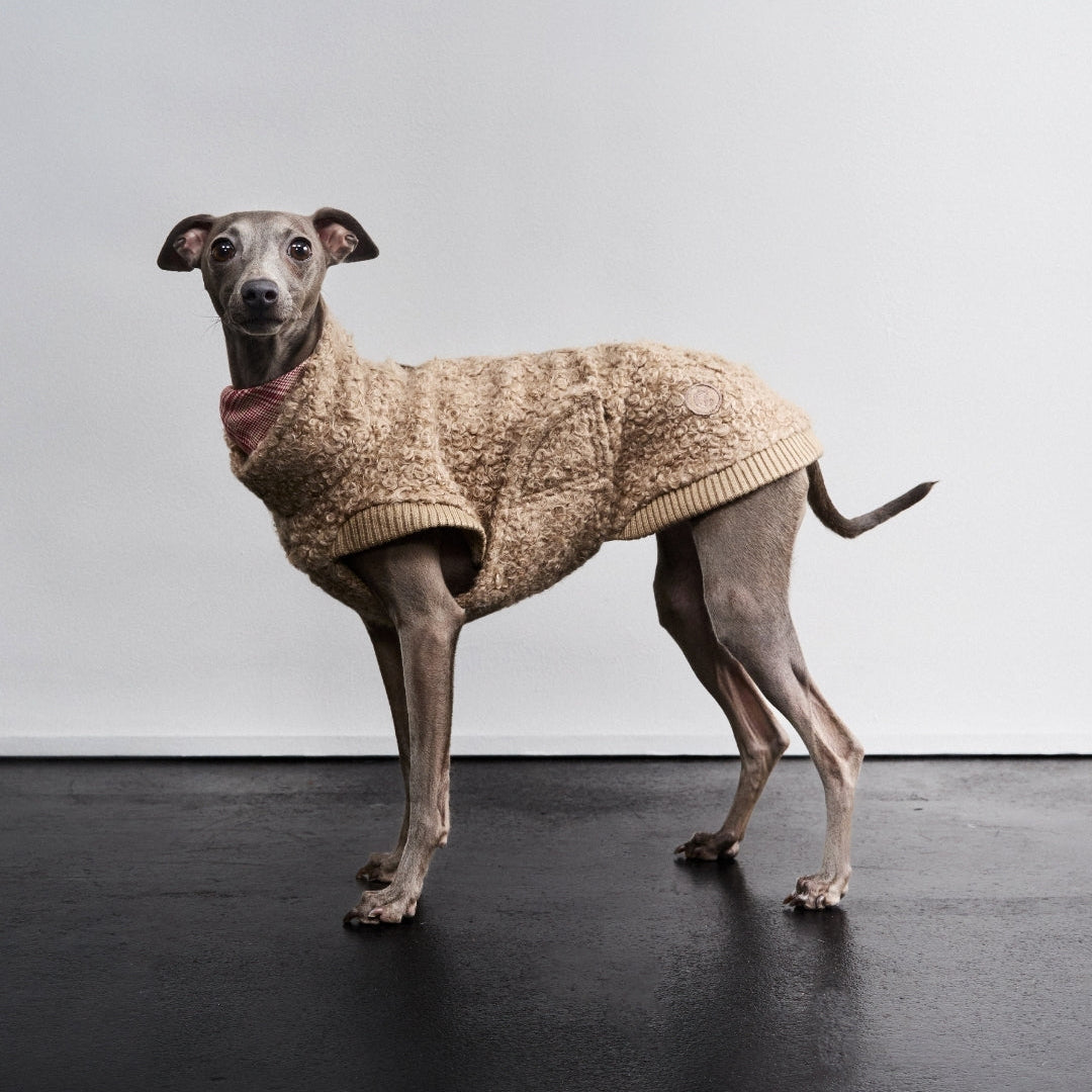 CLOUD7 Gotland -koiran pusero, hiekka