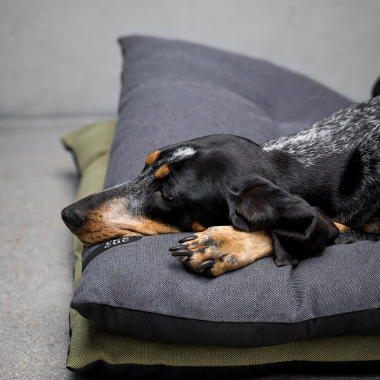 RESC7UE -koiran makuualusta