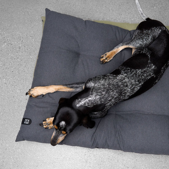 RESC7UE -koiran makuualusta