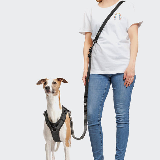 L-2 AKTIV lenkkeilytalutin, musta