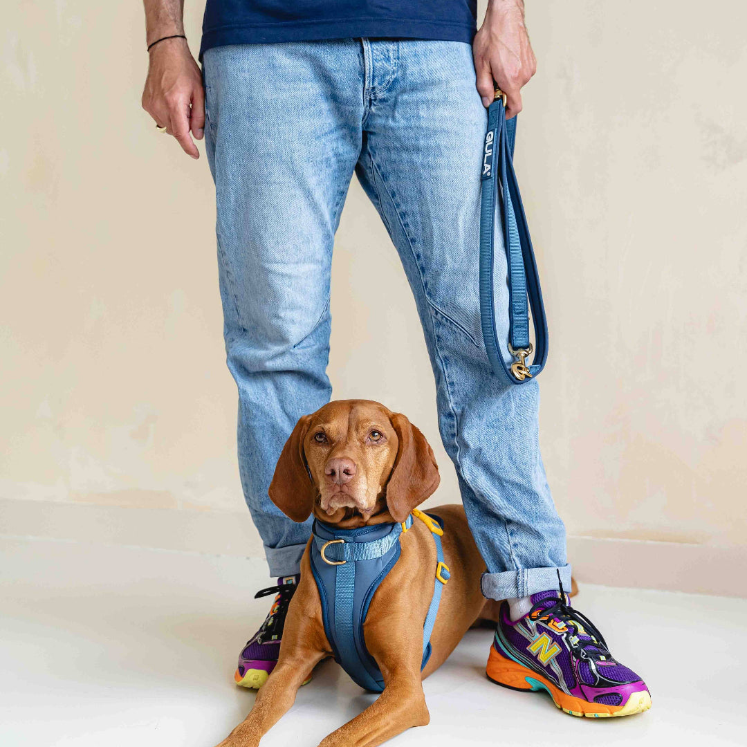 GULA koiran siniset tarvikkeet