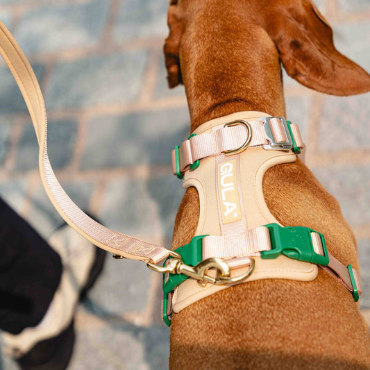 GULA koiran talutushihna