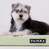 Orthopedic Cooling Dog Mattress, Cabbage