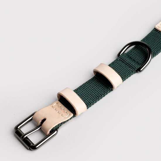 Masimalo Colour Block -kaulapanta koiralle, natural-pine