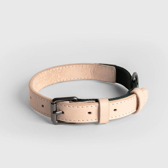 Masimalo Colour Block -kaulapanta koiralle, natural-pine