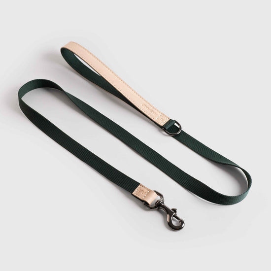 Masimalo koiran talutin, natural-pine