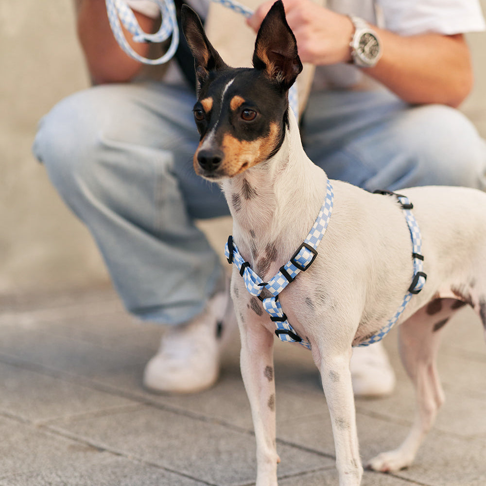 Juno -kierrätetty PET valjaat, Vichy Blue