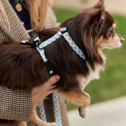 Juno -kierrätetty PET valjaat, Vichy Blue