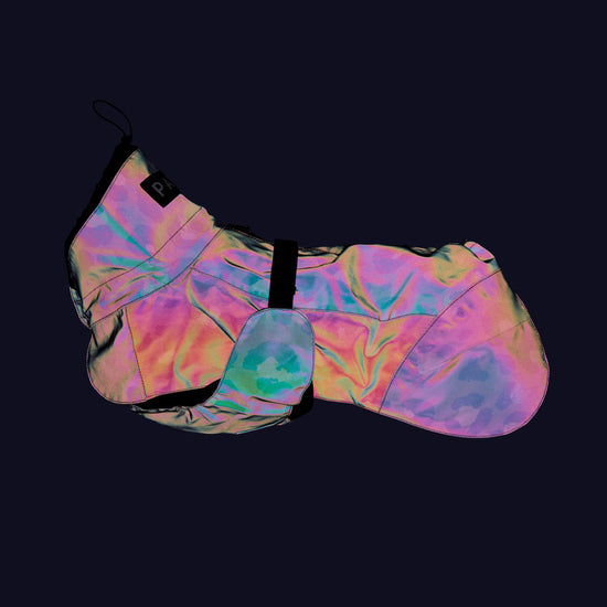 PAIKKA Visibility Lite -koiran heijastava sadetakki, Leo