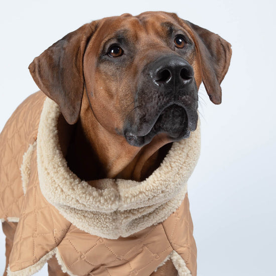 PAIKKA quilted sherpa winter coat