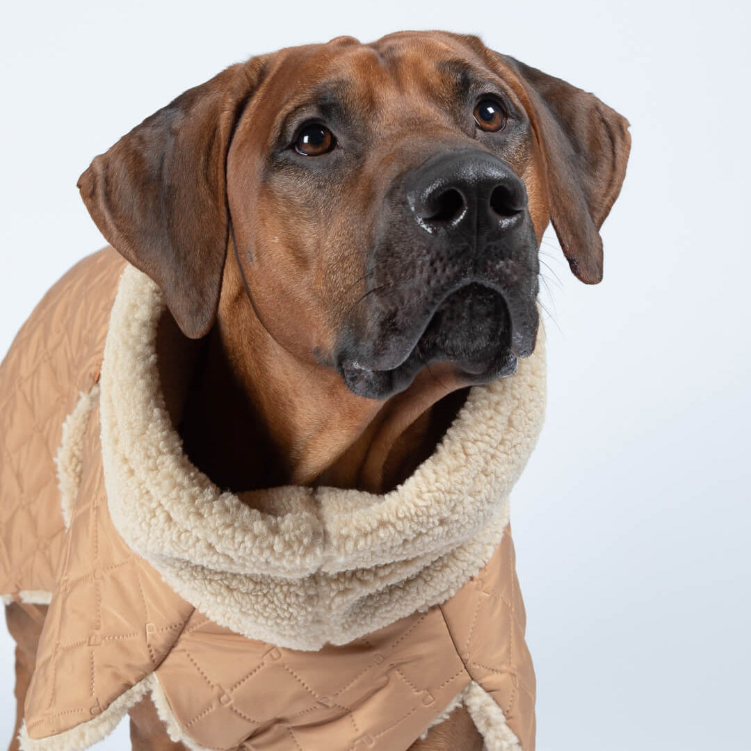 PAIKKA quilted sherpa winter coat
