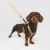 Juno Walk Bundle, Orange design