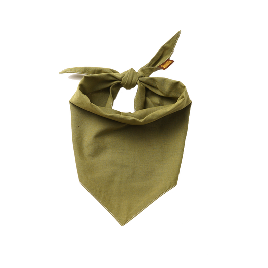 Scout's Honour partiohuivi lemmikille, olive green