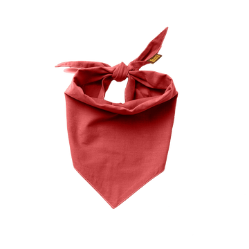 Partiohuivi lemmikille, rosey red