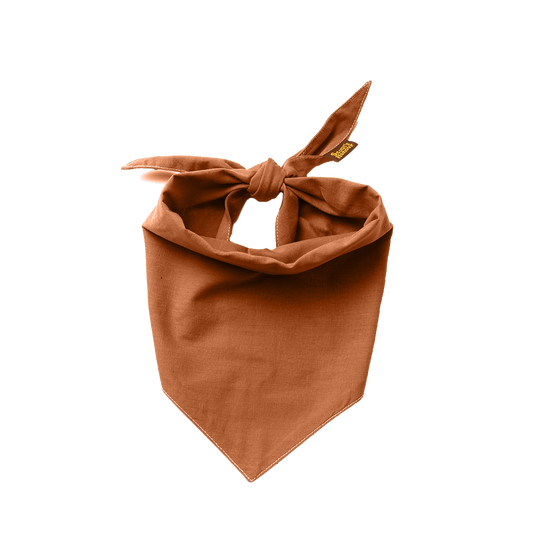 Partiohuivi lemmikille, rust