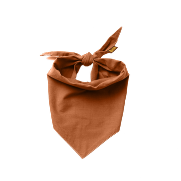 Partiohuivi lemmikille, rust