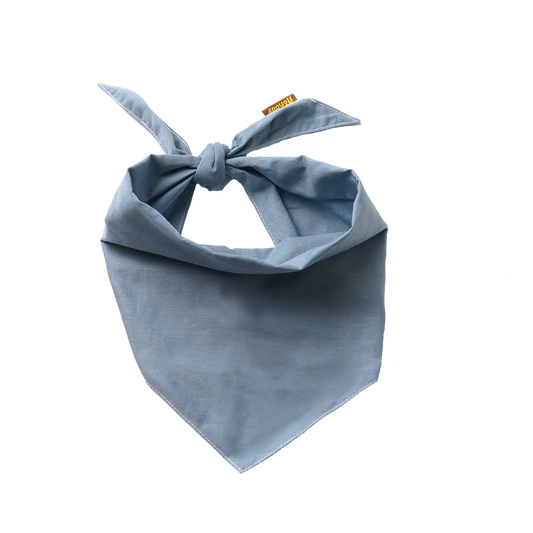 Partiohuivi lemmikille, sky blue
