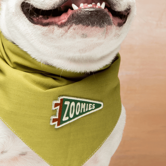 Scout's Honour Zoomies-silitettävä kangasmerkki lemmikille