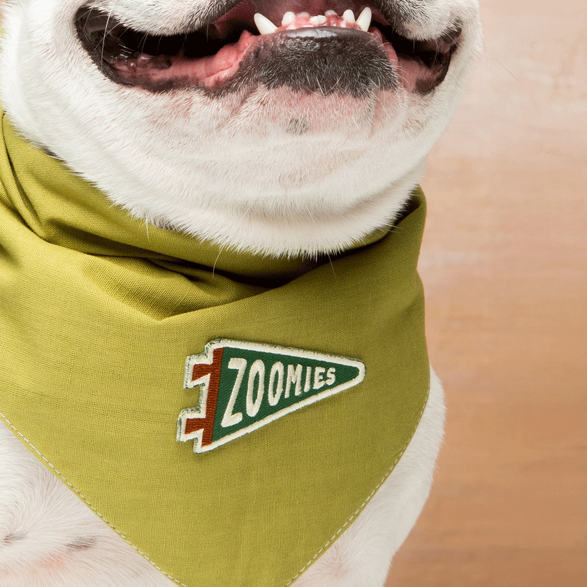Scout's Honour Zoomies-silitettävä kangasmerkki lemmikille