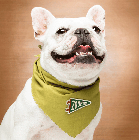 Scout's Honour Zoomies-silitettävä kangasmerkki lemmikille